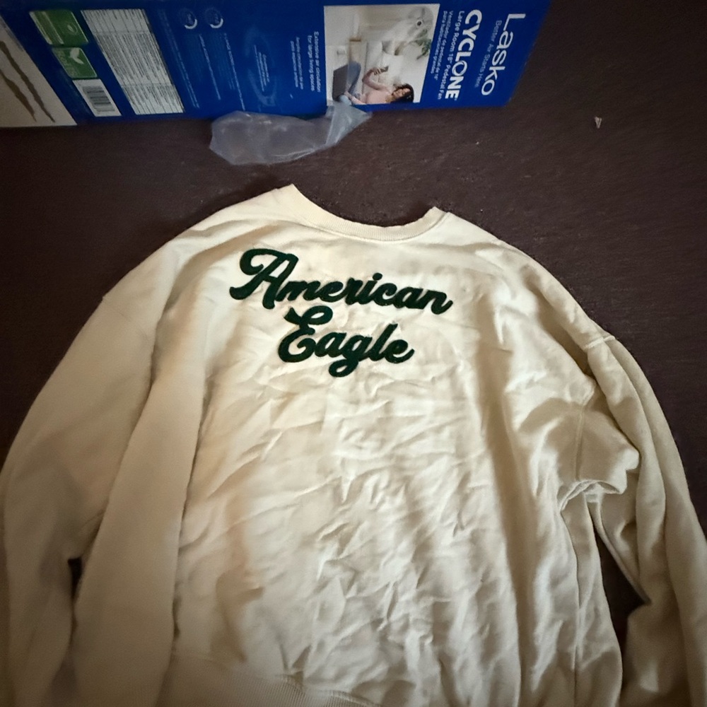 American Eagle Outfitters Cream and Green Crewneck Sweater